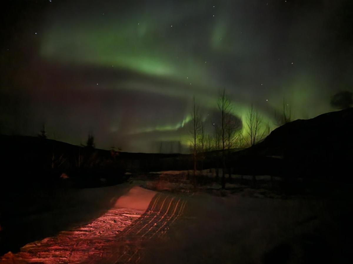 Golden Circle Cabin, Hot Tub Villa Geysir Dış mekan fotoğraf