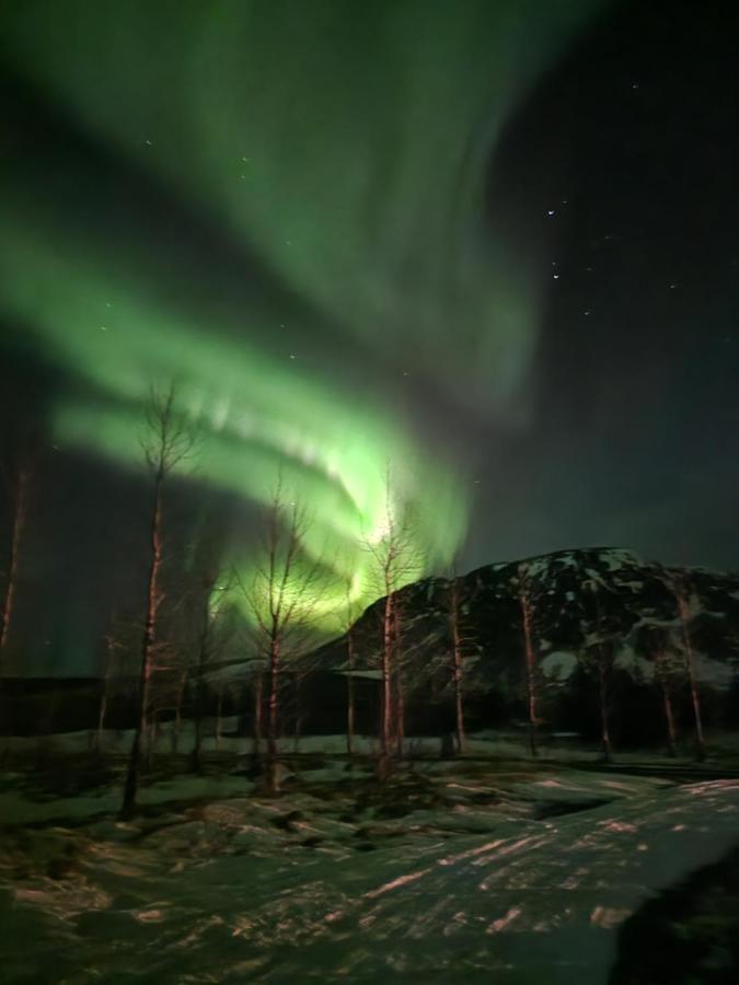 Golden Circle Cabin, Hot Tub Villa Geysir Dış mekan fotoğraf